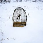 Photographie extraite de l'Usure du Monde