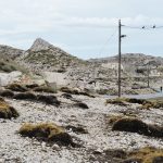 Photographie extraite du livre Marseille précisément