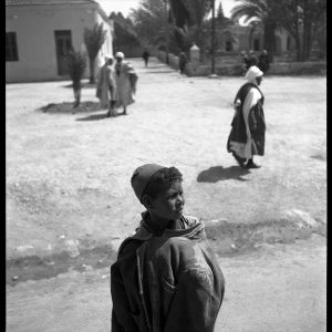 Alger 1951. Un pays dans l'attente