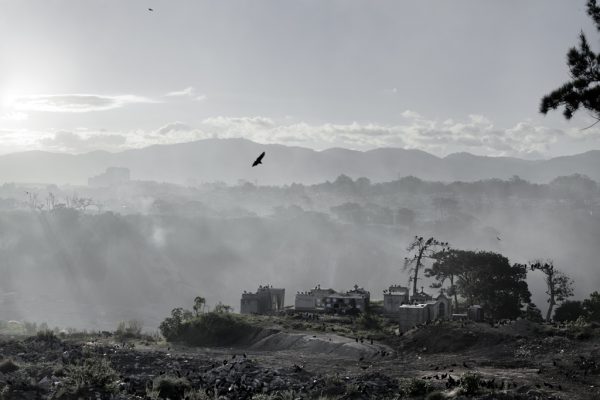 Alma – Image 4