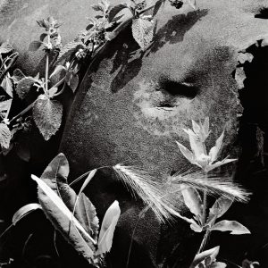 La Nature, le Corps et l'Ombre