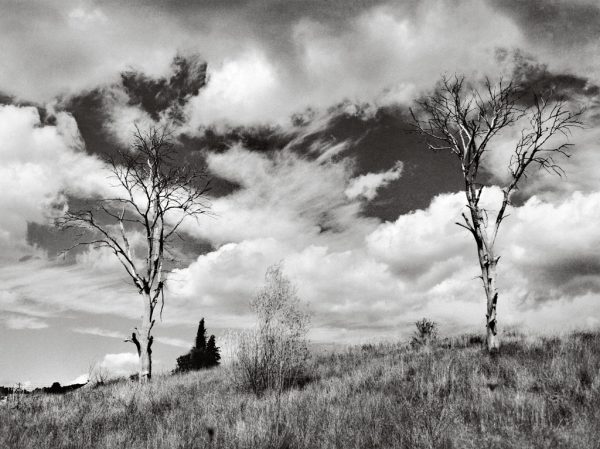 La Nature, le Corps et l'Ombre – Image 6