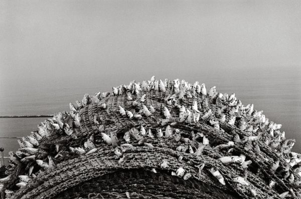 La Petite Mer des oubliés – Image 4