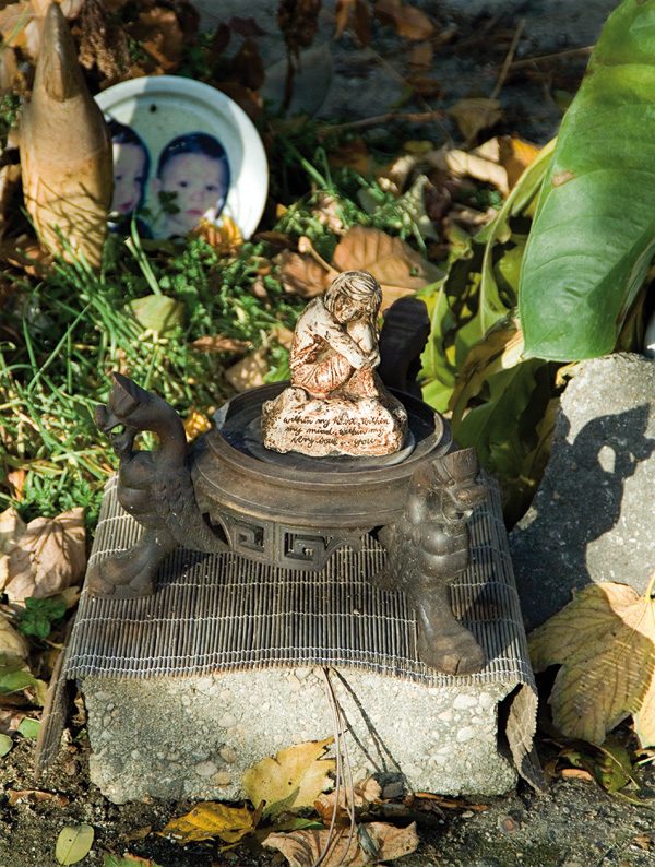 La Borne SOS 77 – Image 8
