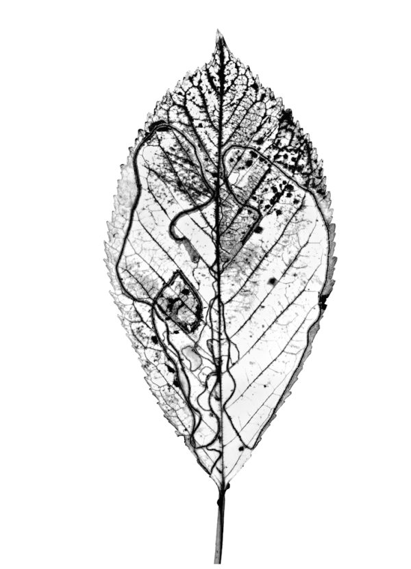 Denis Brihat</br>Premières années en Provence