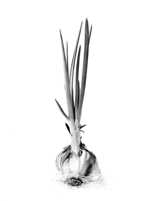 Denis Brihat</br>Premières années en Provence – Image 5