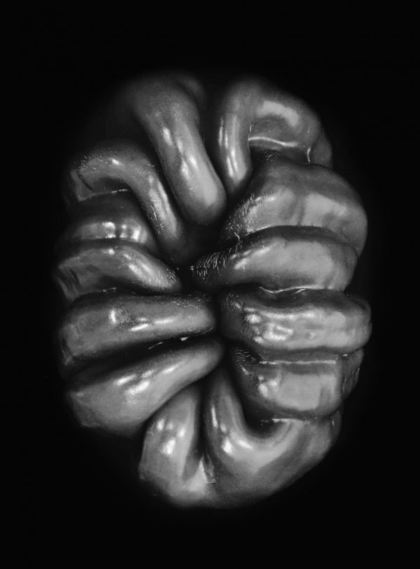 Denis Brihat</br>Premières années en Provence – Image 7