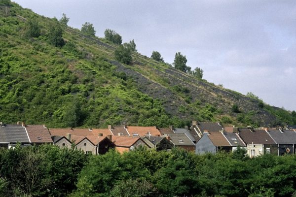 Brumes à venir – Image 5