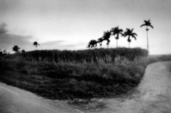 Cuba, les chemins du hasard – Image 6