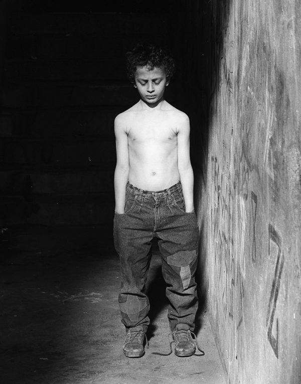 Persan-Beaumont – Image 4