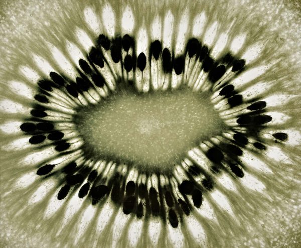 Les Métamorphoses de l'argentique </br> Nouvelle édition – Image 5