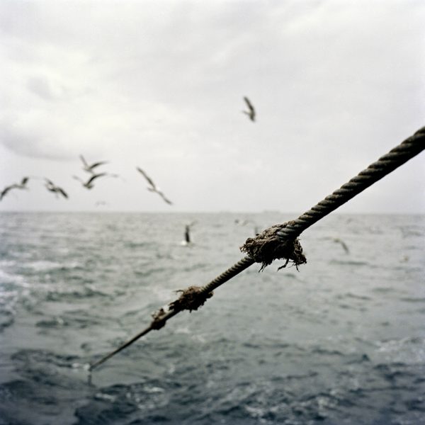 Détroits – Image 5