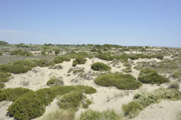 Les Chemins égarés – Image 5