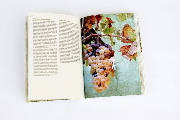 25 balades dans les vignobles de Provence, vol. 1 – Image 4