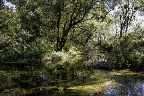 Les Chemins égarés – Image 7