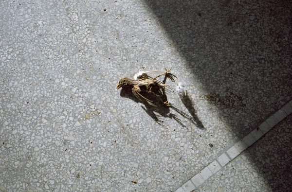 Les garçons perdus – Image 7