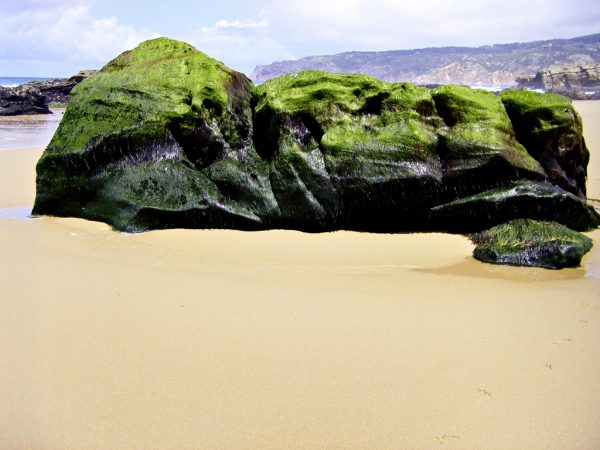 Le Minimum visible – Image 5