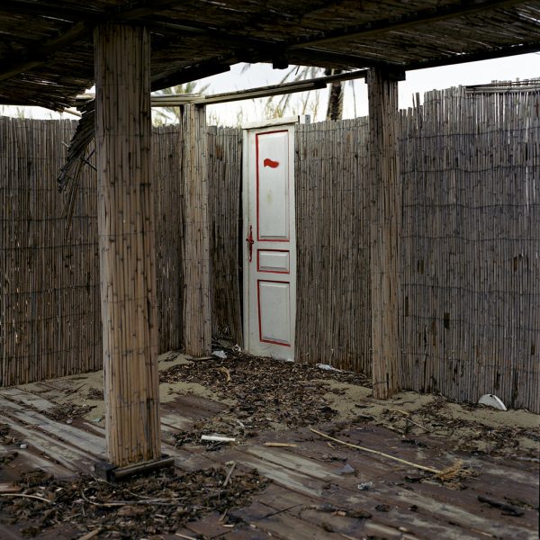 Mortes saisons – Image 7