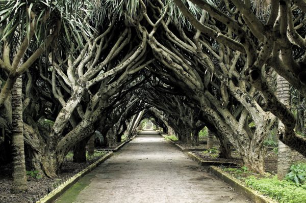 Un si parfait jardin