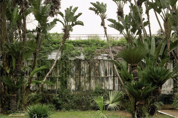 Un si parfait jardin – Image 5
