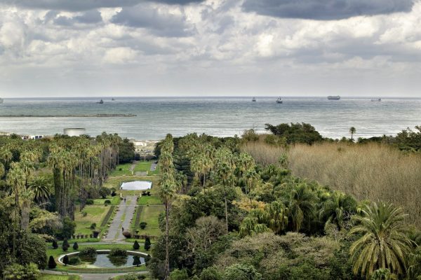 Un si parfait jardin – Image 7