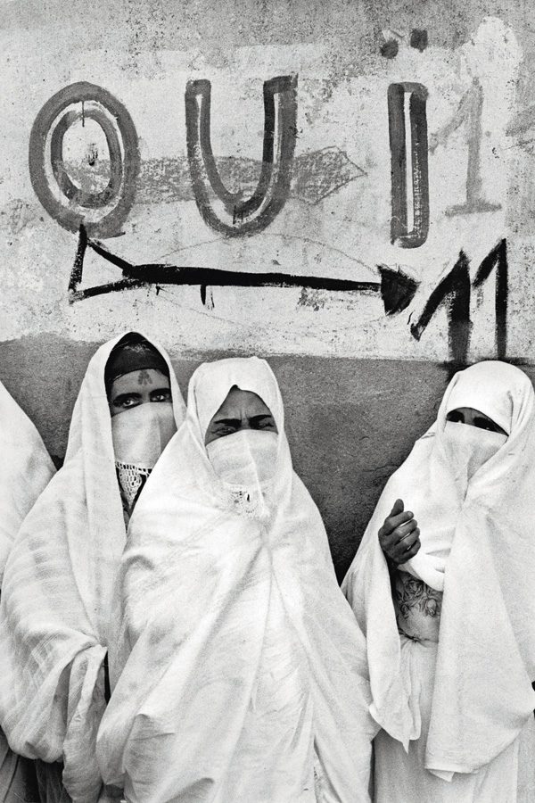 Algérie Indépendance – Image 3
