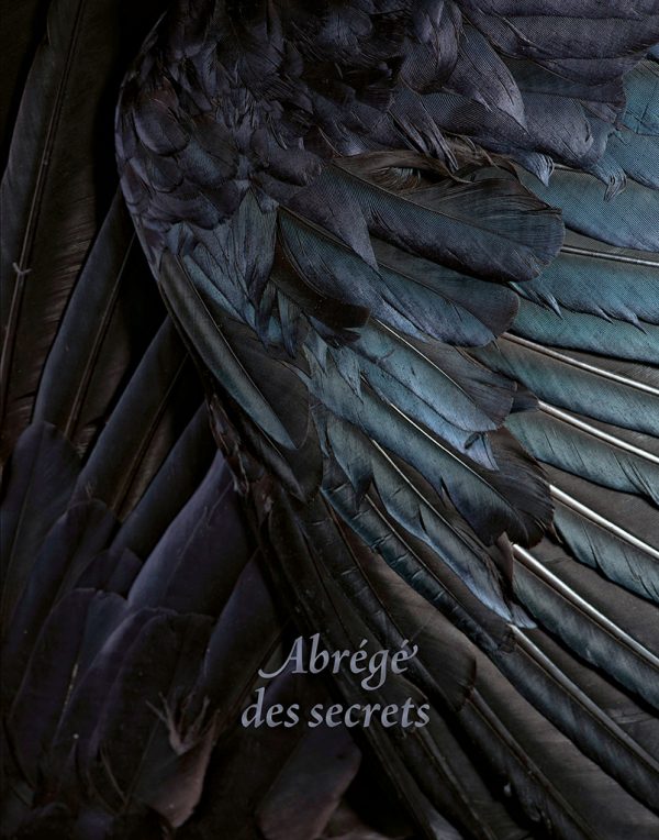 Abrégé des secrets – Image 2
