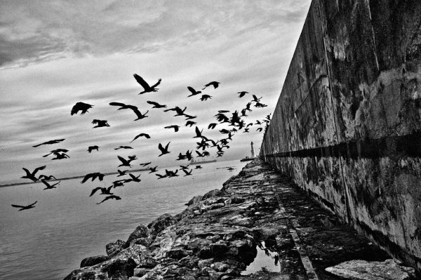 Sète #13  Cédric Gerbehaye – Image 3