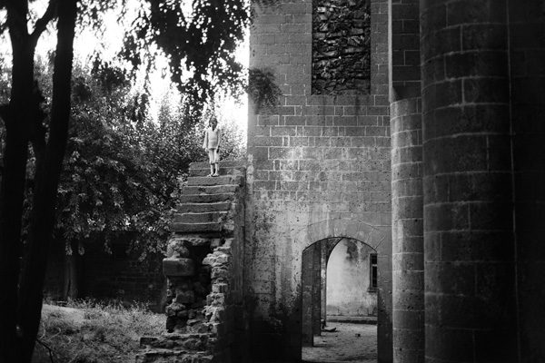 Memory of Trees – Image 5