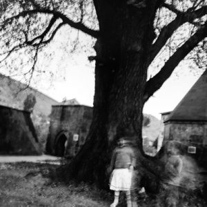 Memory of Trees