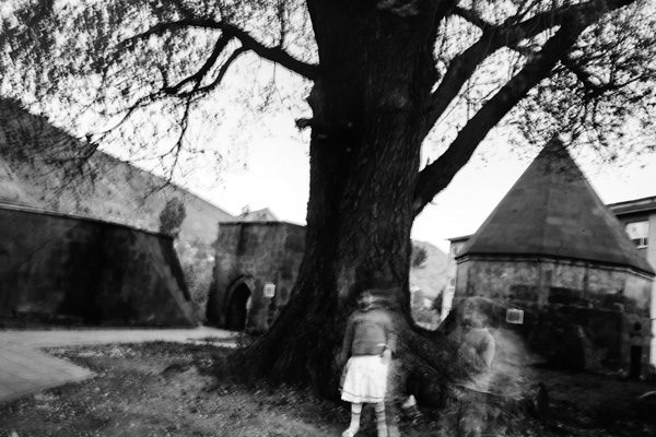 Memory of Trees