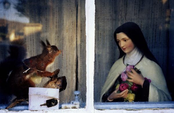 Virgin – Image 7