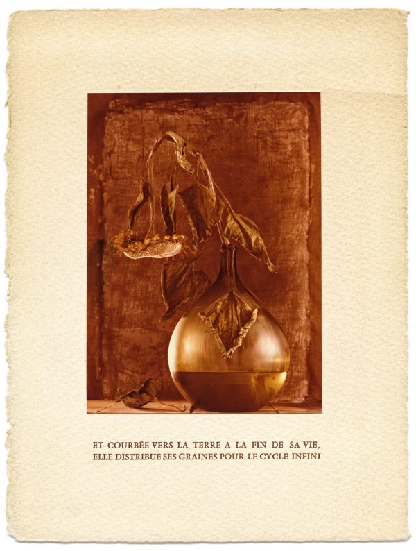 Bonne année – Image 5