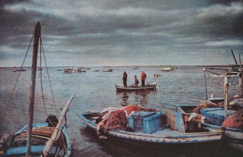 Photographie extraite du livre l'Écume des amnésies, de Shiraz Bazin-Moussi