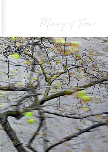 Couverture du livre Memory of trees, de Kathryn Cook