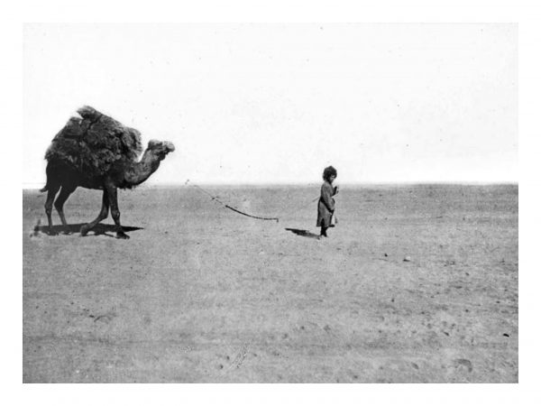 Paul Nadar ©Ministère de la Culture (France) Médiathèque de l’architecture et du patrimoine Diff. RMN-GP