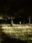 Les Chemins égarés - couverture Les Chemins égarés - couverture