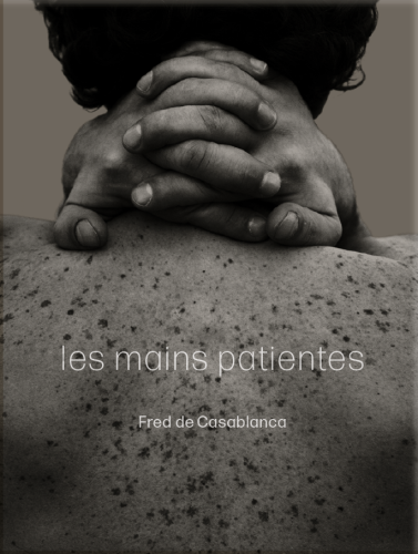 Couverture Les mains patientes