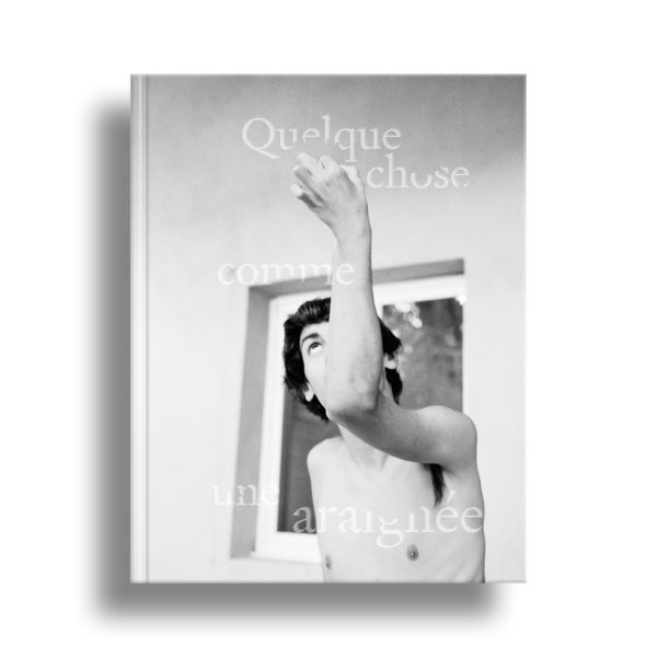 Quelque chose comme une araignée