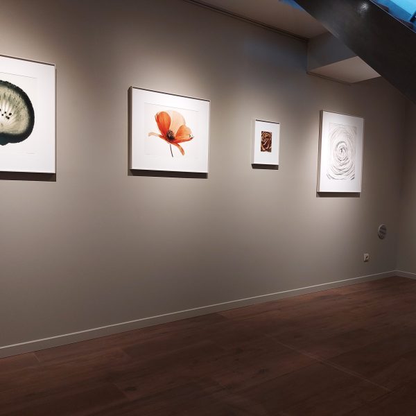 Exposition Galerie Camera Obscura