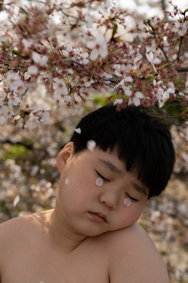 Mon neveu coréen – Image 3