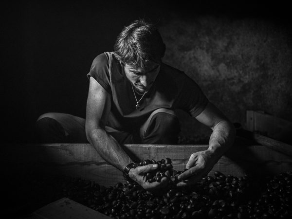 ImageSingulières en Cévennes</br>Cédric Gerbehaye – Image 3