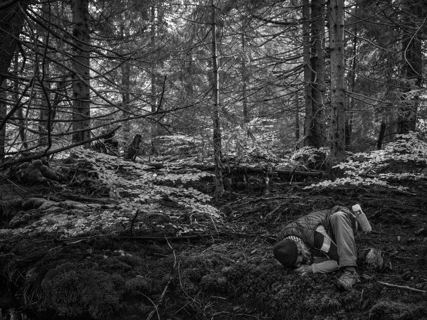 ImageSingulières en Cévennes</br>Cédric Gerbehaye – Image 8