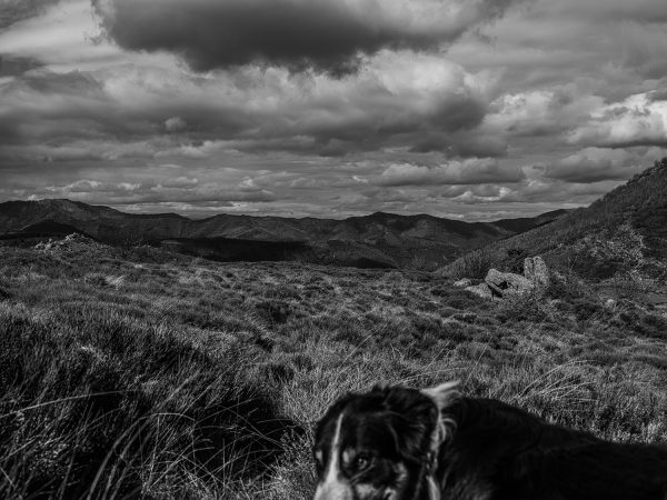 ImageSingulières en Cévennes</br>Cédric Gerbehaye – Image 2