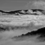 Cédric Gerbehaye, ImageSingulières en Cévennes#1